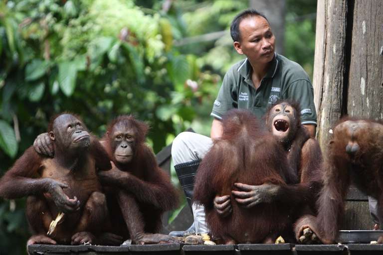 Untamed Borneo trip - alternative tour available
