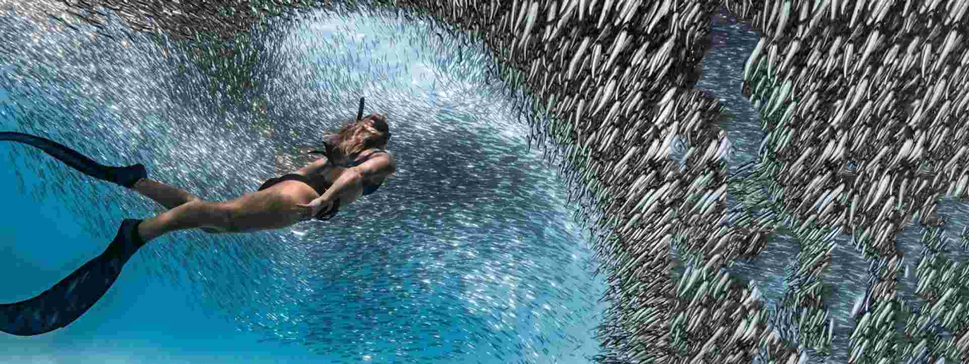 Untamed Pilbara and West Coast