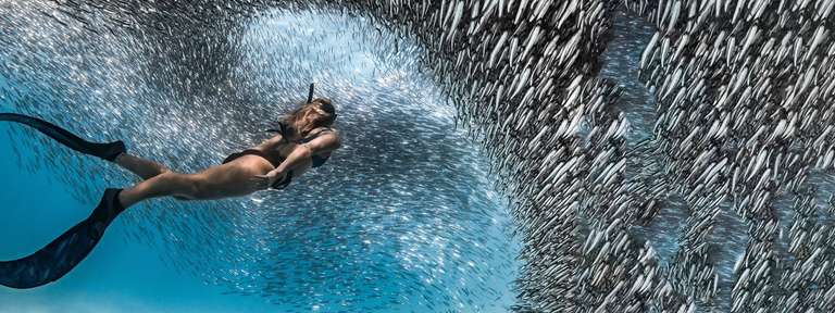 Untamed Pilbara and West Coast trip - alternative tour available