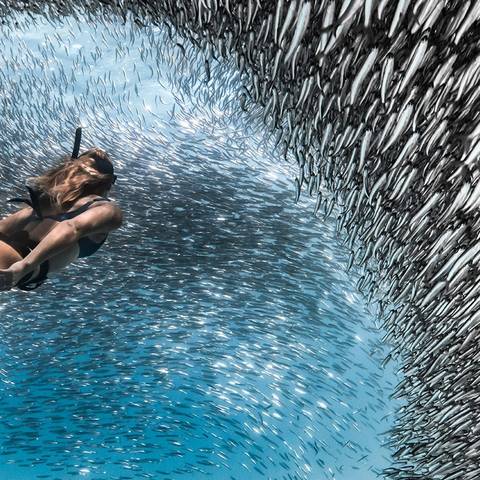 Experienced Travelers Trips: Untamed Pilbara And West Coast