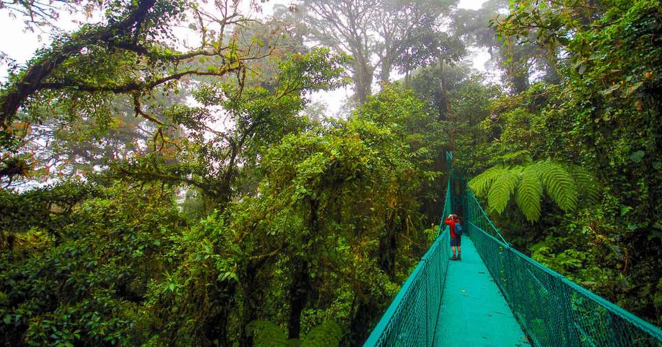 Upgraded - Costa Rica Wildlife - Explore - Costa Rica - Image 3