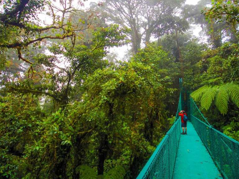 Costa Rica Luxury Tours: Upgraded - Costa Rica Wildlife