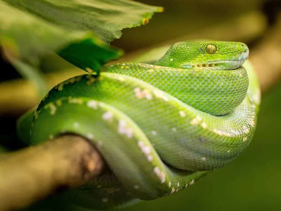 Image 13 of 17