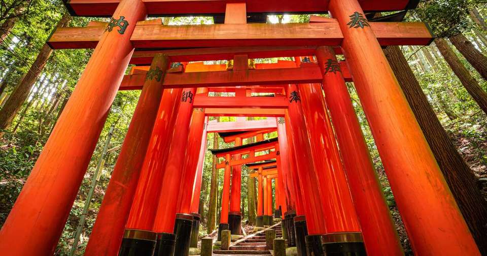 Upgraded - Discover Japan - Explore - Japan - Image 5