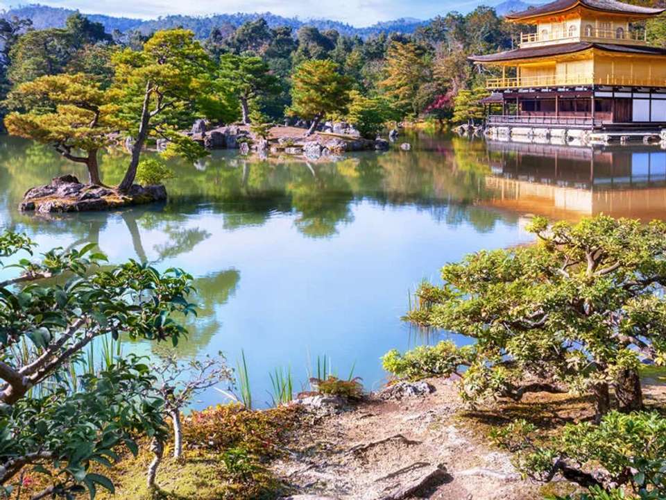 Upgraded - Discover Japan - undefined - Image 20