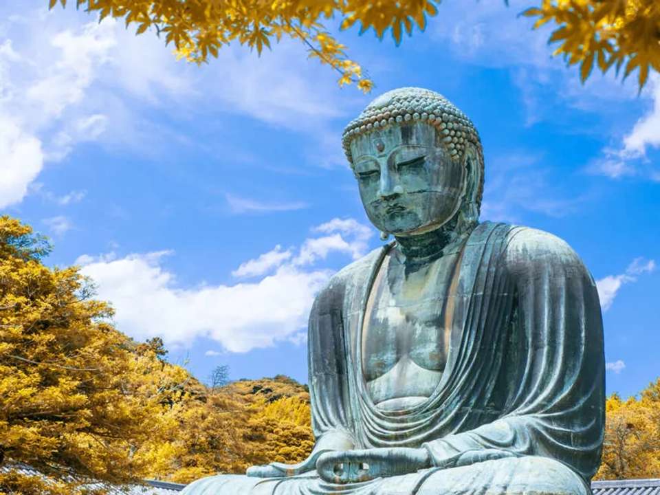 Upgraded - Discover Japan - undefined - Image 17