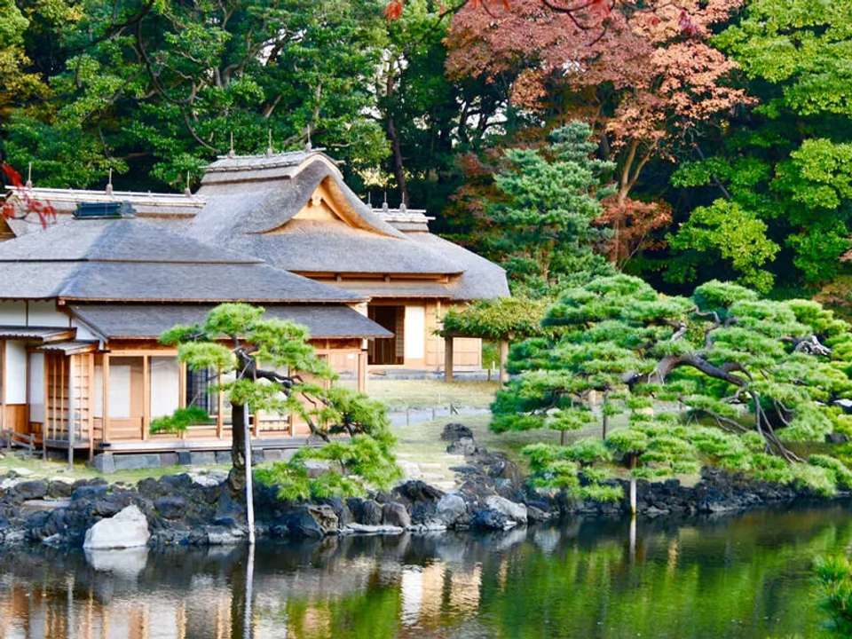 Upgraded - Discover Japan - undefined - Image 14