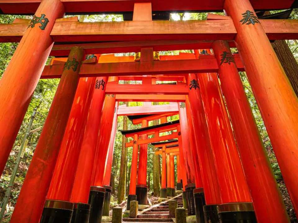 Upgraded - Discover Japan - undefined - Image 6