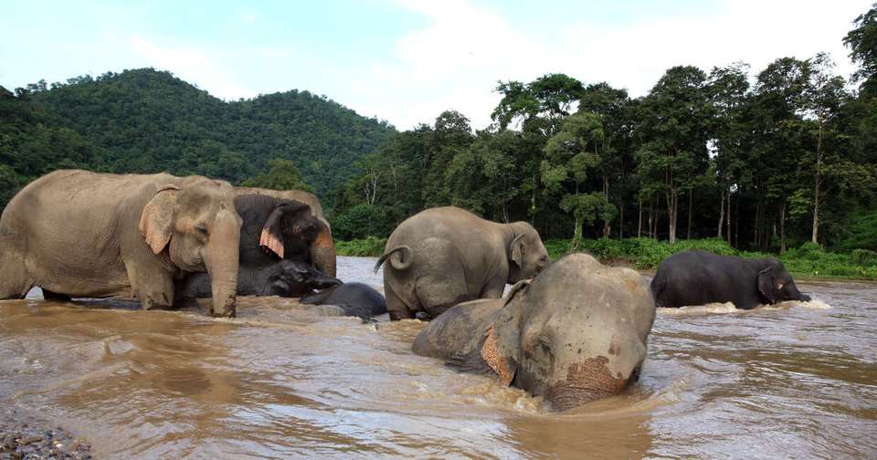 Upgraded - Discover Northern Thailand - Explore - Thailand - Image 4