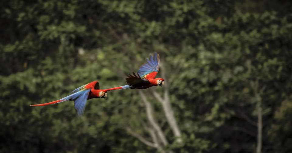 Upgraded - Discover Peru + the Amazon - Explore - Peru