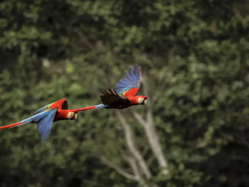 Image 17 of 24