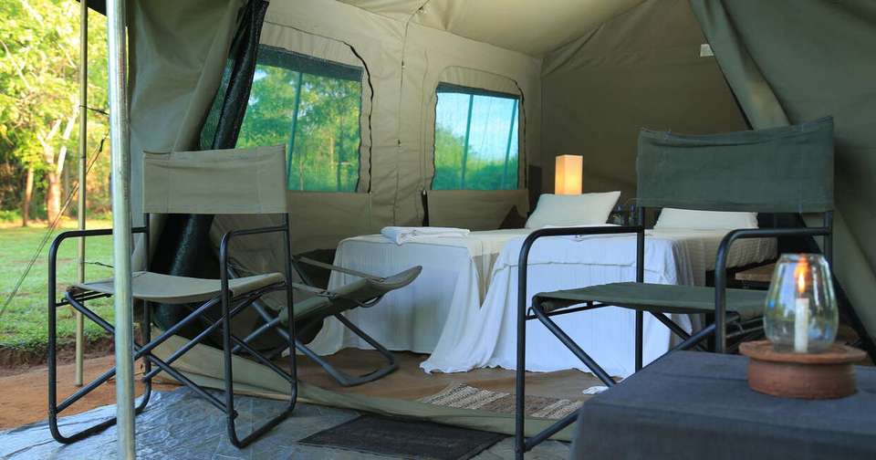Upgraded - Discover Sri Lanka - Explore - Sri Lanka - Image 16