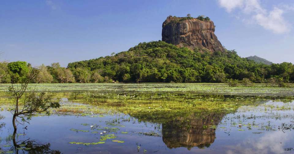 Upgraded - Discover Sri Lanka - Explore - Sri Lanka - Image 11