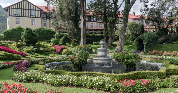 Image 4 of 22