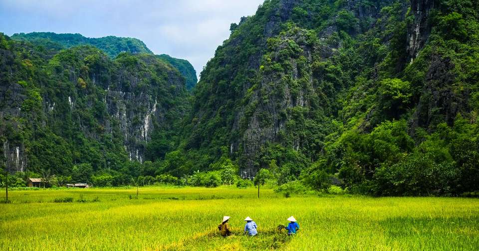 Upgraded - Discover Vietnam - Explore - Vietnam - Image 8