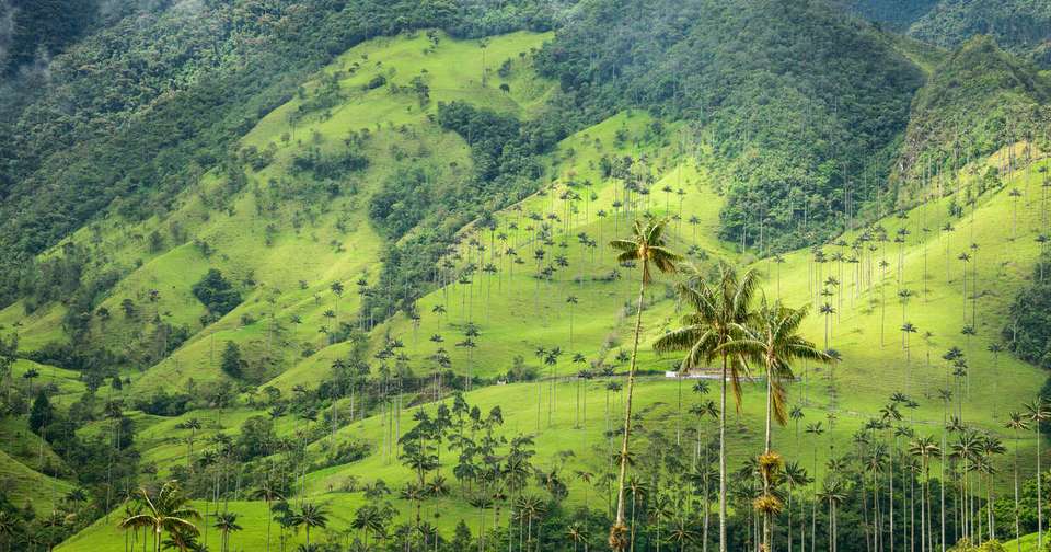 Upgraded - Highlights of Colombia - Explore - Colombia - Image 11