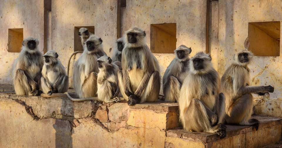 Upgraded - Highlights of Northern India - Explore - India - Image 5