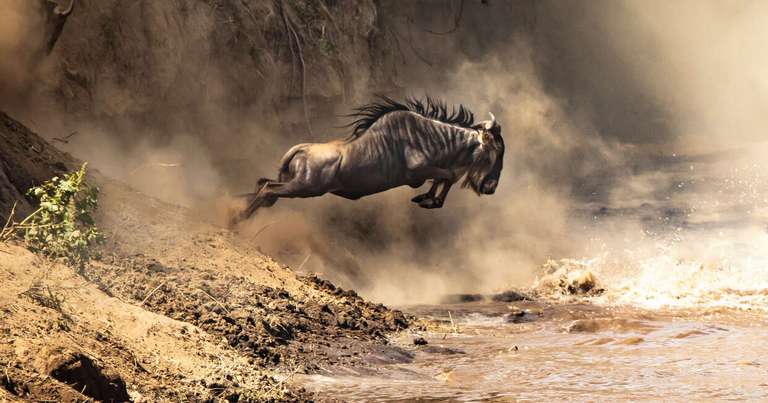 Upgraded - Highlights of Kenya trip - alternative tour available
