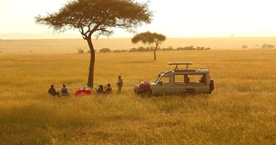 Upgraded - Highlights of Kenya - Explore - Kenya - Image 3