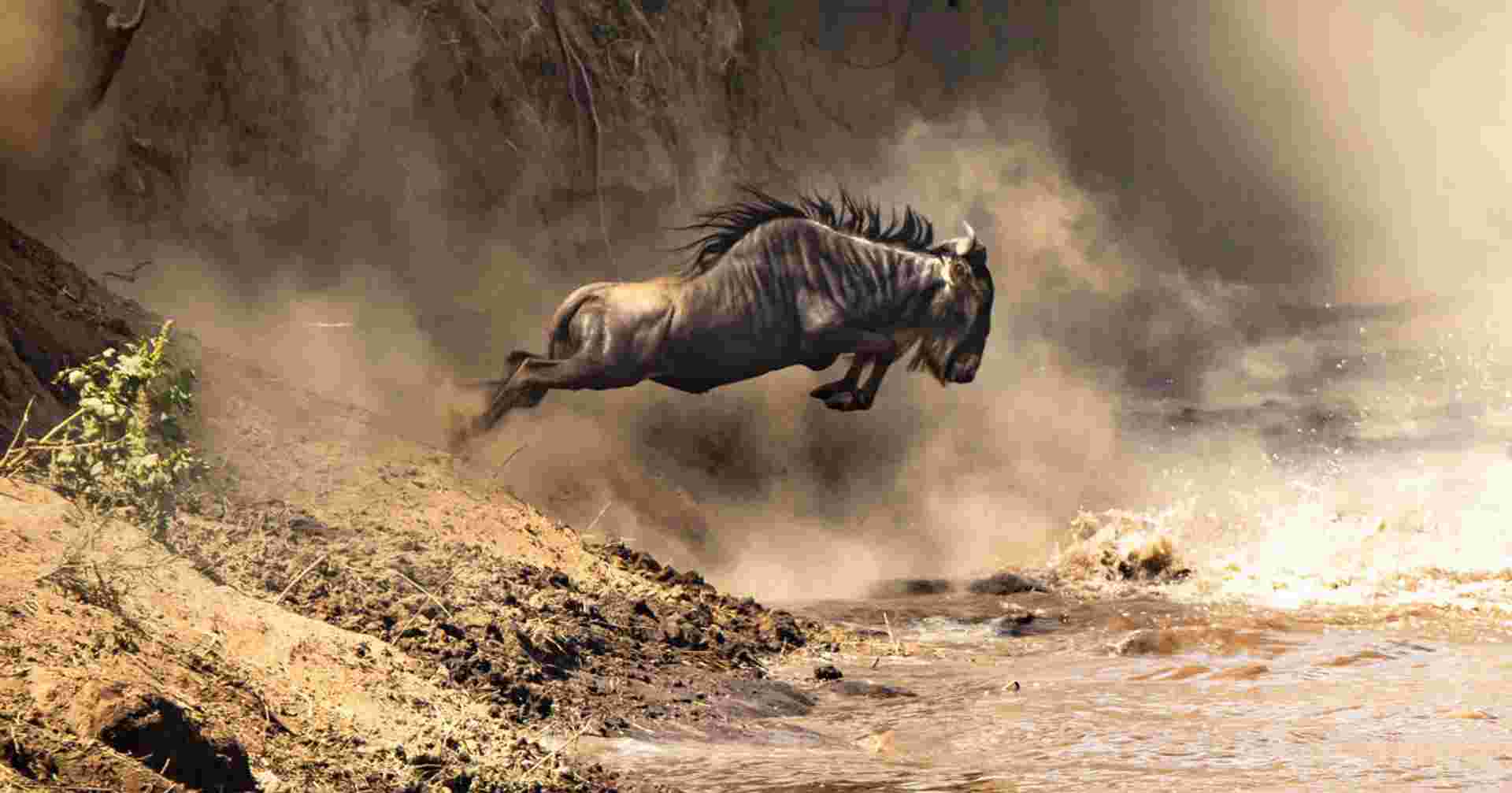 Upgraded - Highlights of Kenya & Tsavo