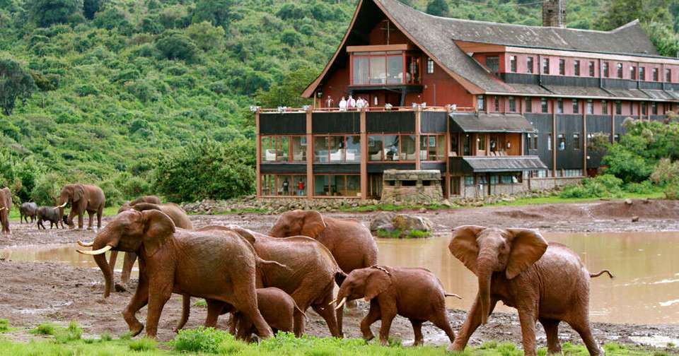 Upgraded - Highlights of Kenya & Tsavo - Explore - Kenya - Image 2