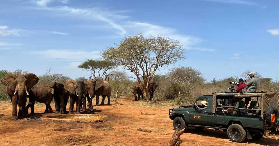 Upgraded - Highlights of Kenya & Tsavo - Explore - Kenya - Image 13