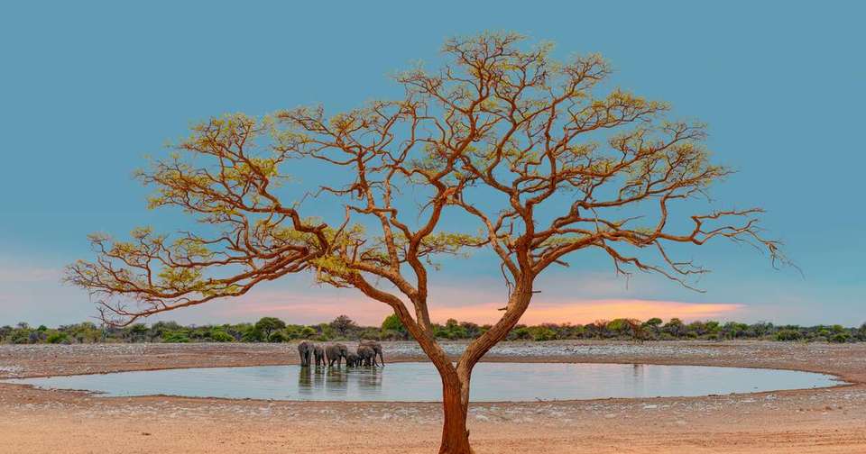 Upgraded - Highlights of Namibia - undefined - Image 4