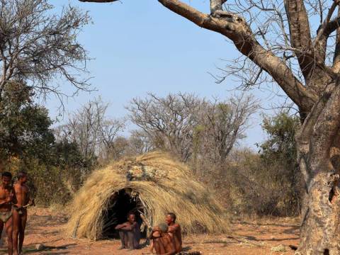 Namibia Guided Tours: Upgraded - Highlights Of Namibia