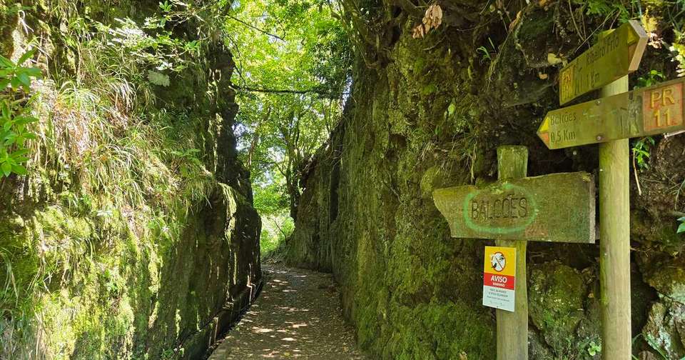 Upgraded - Madeira Island Discovery - Explore - Portugal - Image 8