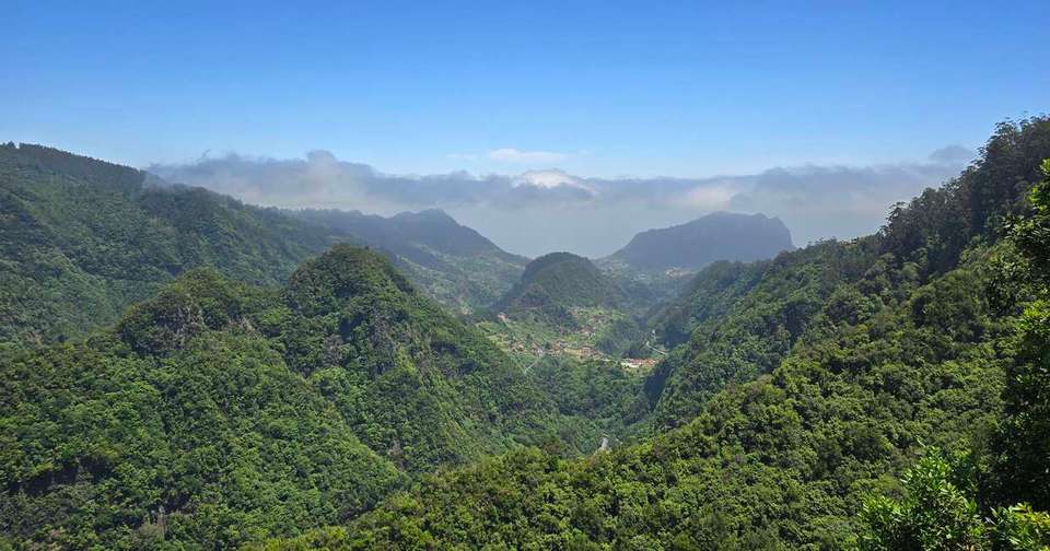 Upgraded - Madeira Island Discovery - Explore - Portugal - Image 9