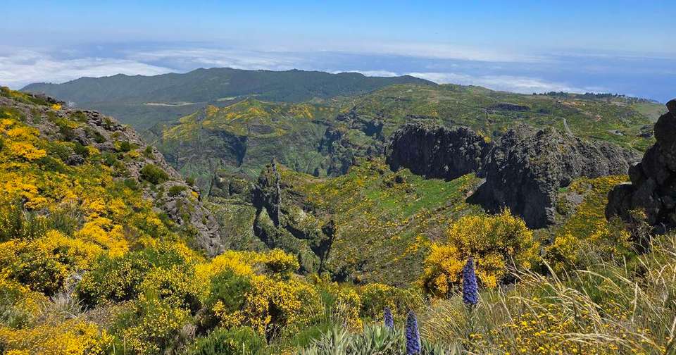 Upgraded - Madeira Island Discovery - Explore - Portugal - Image 11
