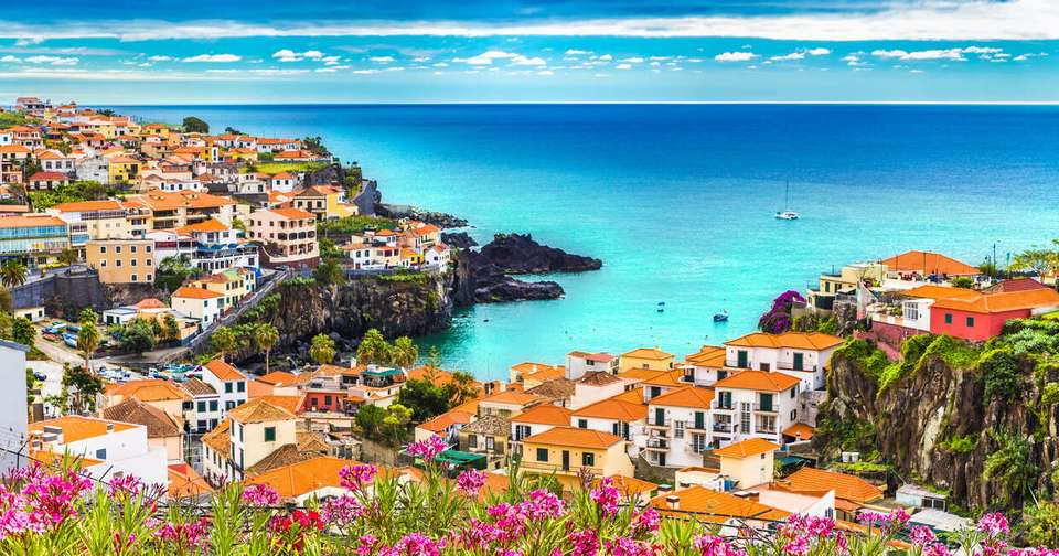 Upgraded - Madeira Island Discovery - Explore - Portugal - Image 15
