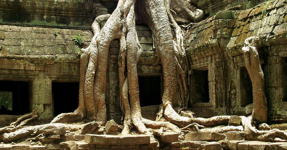 Upgraded - Vietnam and Angkor - Explore - Vietnam - Image 12