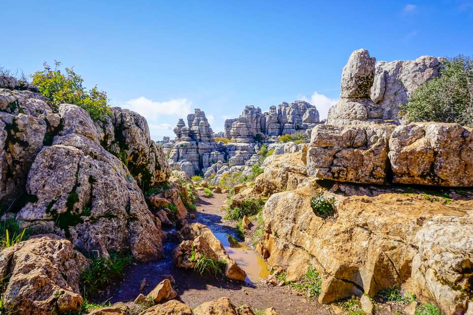 Upgraded - Walking in Andalucia - Explore - Spain - Image 22