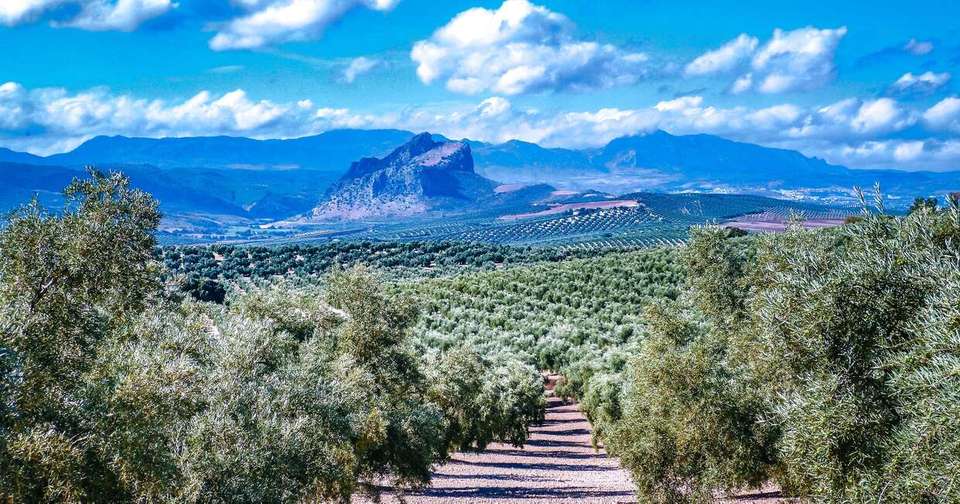 Upgraded - Walking in Andalucia - Explore - Spain - Image 7