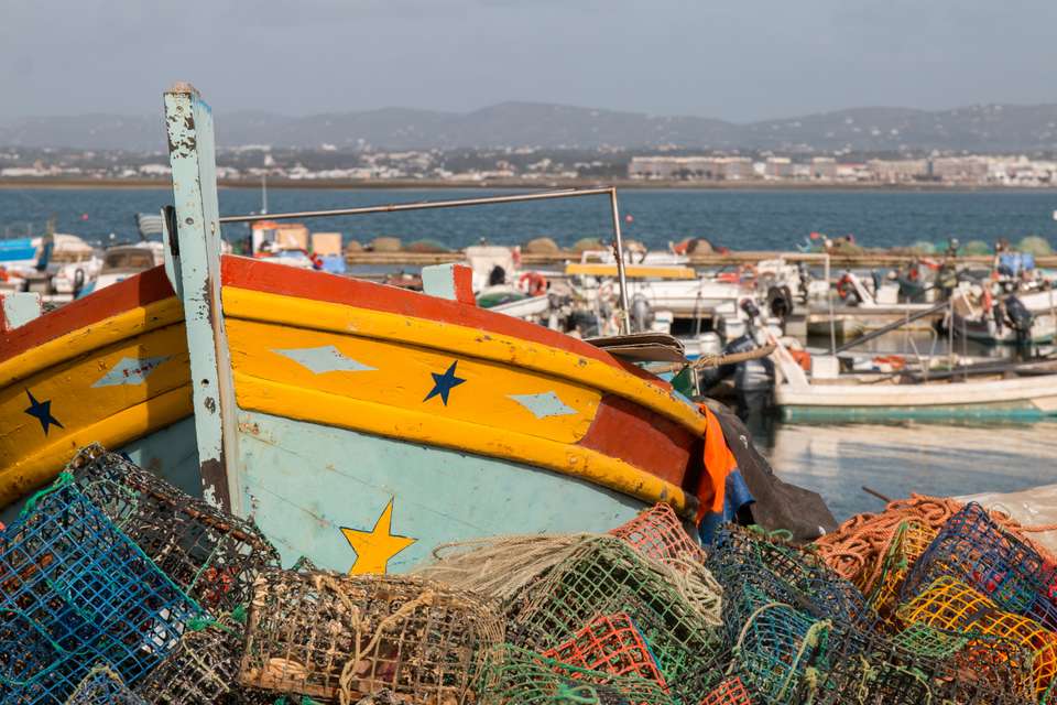Upgraded - Walking in the Algarve - undefined - Image 4