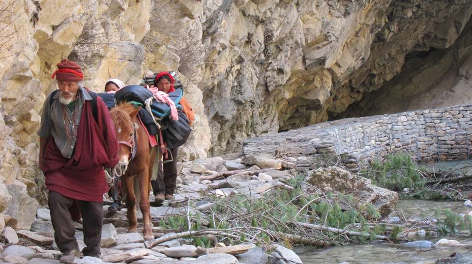 Upper Dolpo Trek - Nepal Eco Adventure Pvt Ltd - Nepal - Image 3