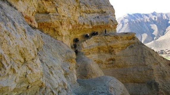 Image 4 of 9