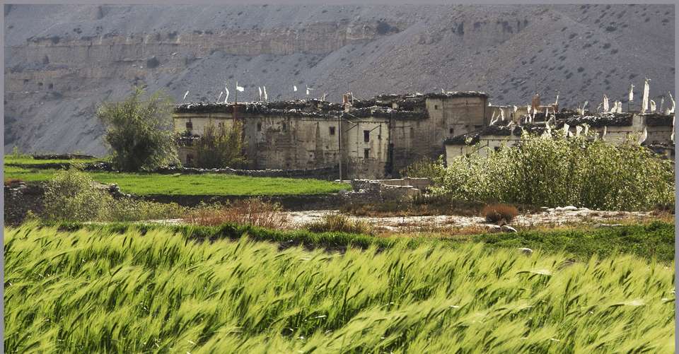 Upper Mustang trek - Unique Adventure International Pvt Ltd - Nepal - Image 2