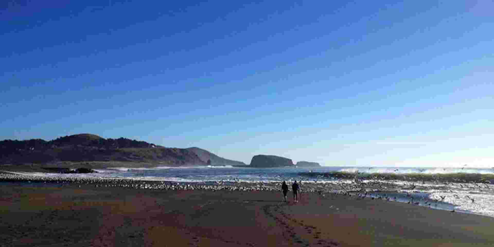 USA Road Trip- The Best of Cali