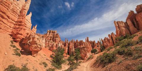 Road Tour: Usa Road Trip: Big Cities & West Coast Parks