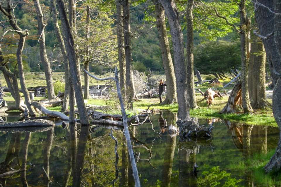 Ushuaia Adventure: Patagonia Nature & Beagle Channel - undefined - Image 5