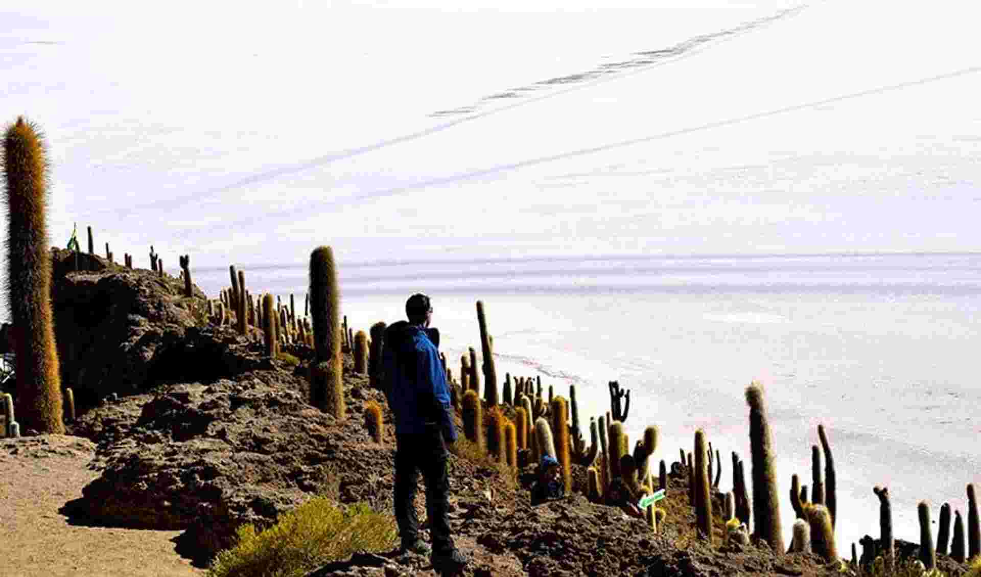 Uyuni Salt Flats & Desert Adventure 4D/3N (Atacama to Atacama)