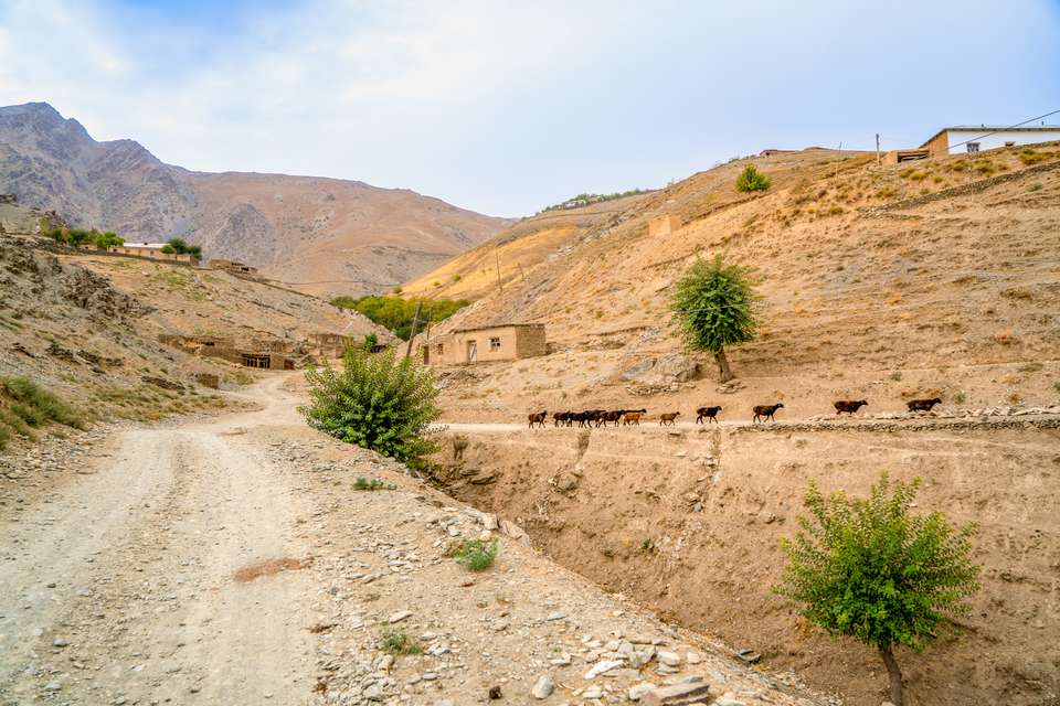Discover Uzbekistan - Exodus Adventure Travels - Uzbekistan - Image 5