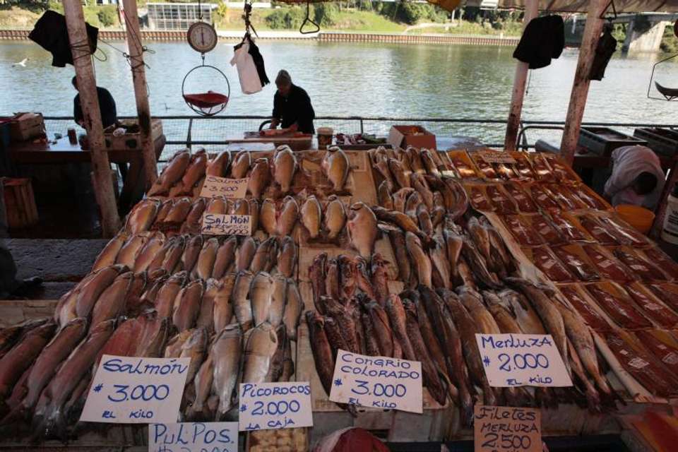 Valdivia Essential City Tour - Tangol Tours - Chile - Image 2