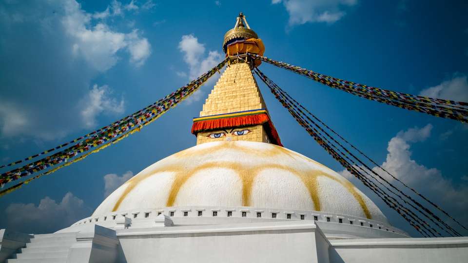 Kathmandu Sightseeing & Chitwan National Park Tour - Travel Max Guide - Nepal - Image 11