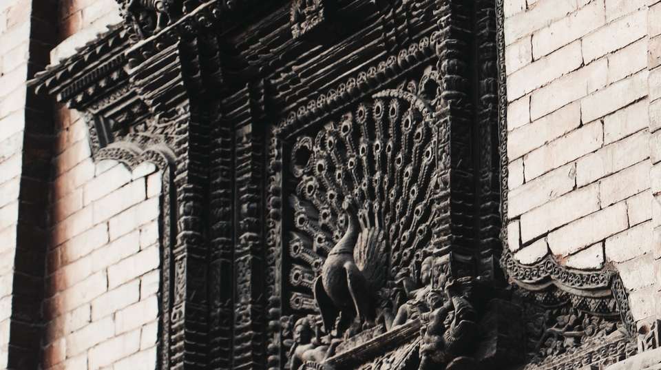 Kathmandu Sightseeing & Chitwan National Park Tour - Travel Max Guide - Nepal - Image 6