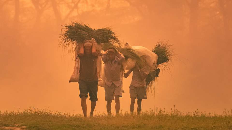 Kathmandu Sightseeing & Chitwan National Park Tour - Travel Max Guide - Nepal - Image 3
