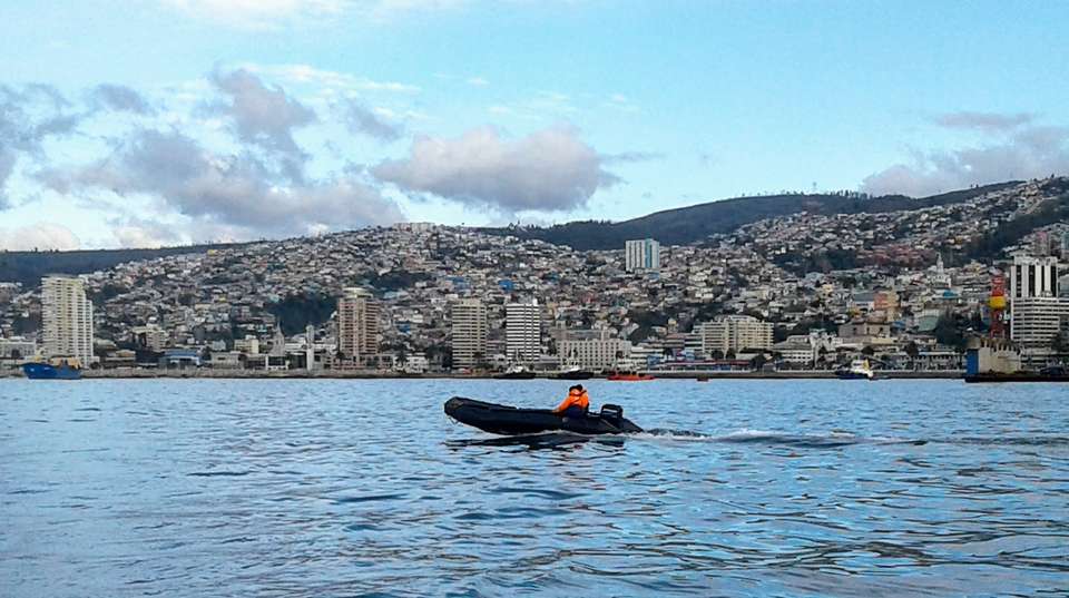 Full Day Tour Valparaiso, Viña del Mar and Casablanca  - Chilevivetours - Chile - Image 3