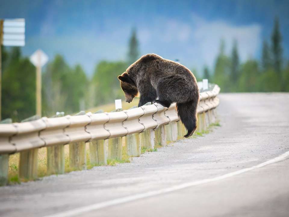 Vancouver, Banff & Rockies Summer - 5 days - On The Go Tours - Canada - Image 3